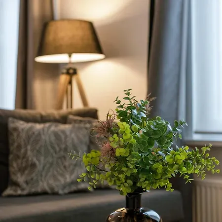 Cozy Nearby The Of *